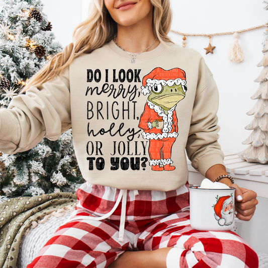 Do I look merry and bright Pre-order